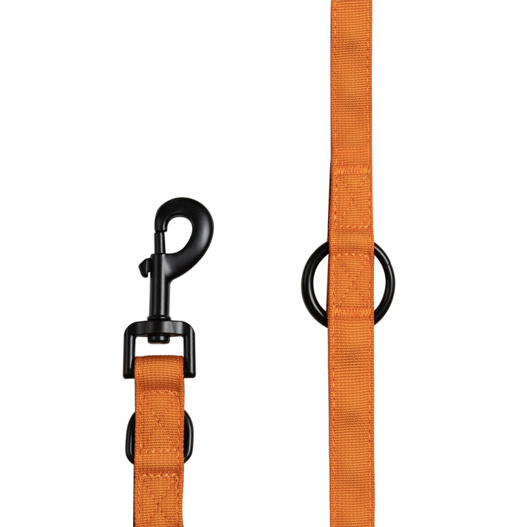 Trekk Dog Leash