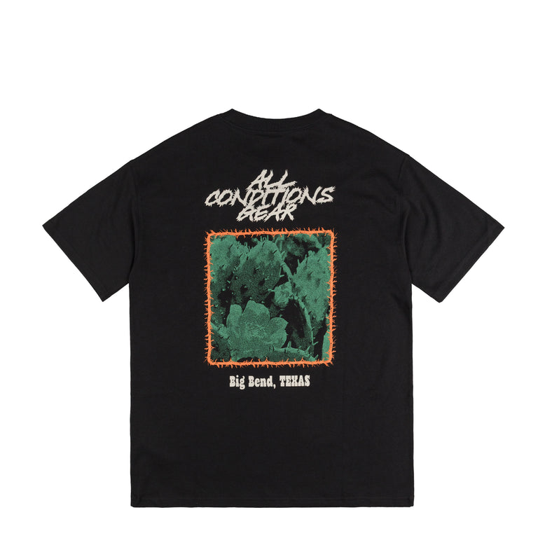 Nike	ACG Cactus Tee