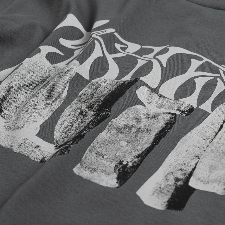 Carhartt WIP S/S Pagan T-Shirt