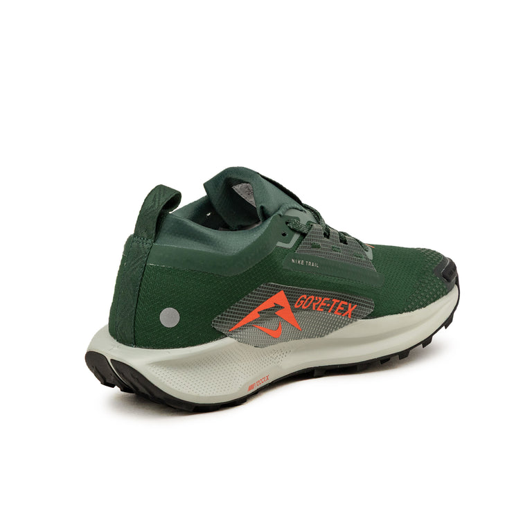 Nike Pegasus Trail 5 *Gore-Tex* SP