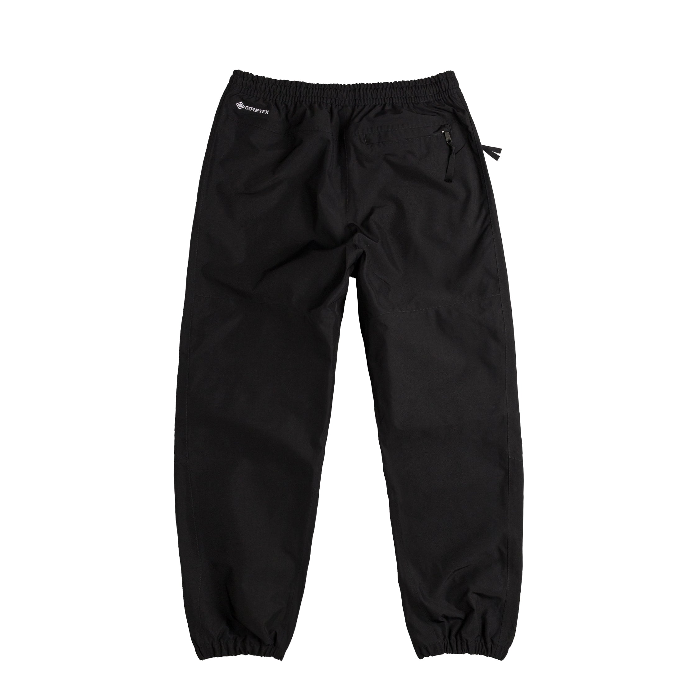 The North Face Gore-Tex Mountain Pant – buy now at Asphaltgold Online ...