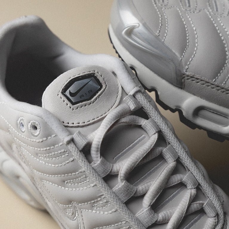 Nike Wmns Air Max Plus onfeet