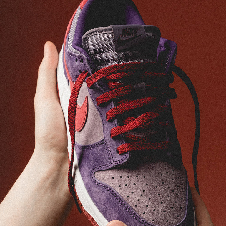 Nike Dunk Low SP *Plum* onfeet