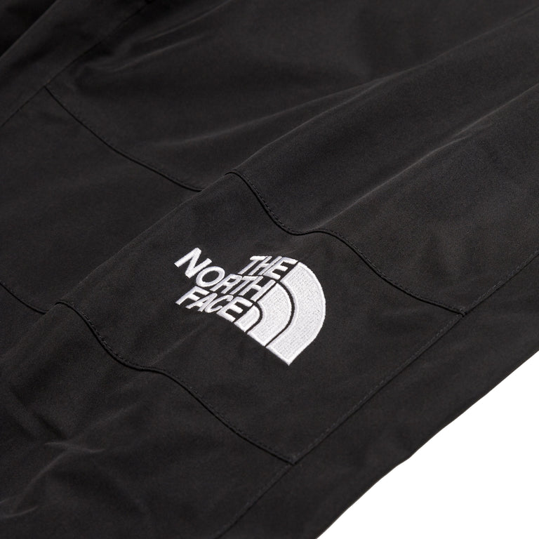 The North Face Gore-Tex Mountain Pant