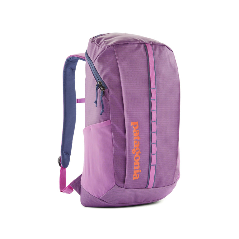 Patagonia Black Hole Pack 25L