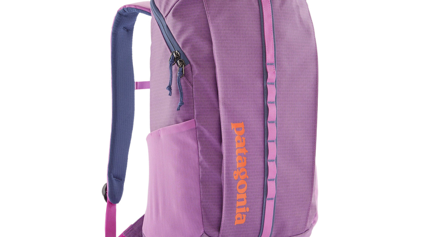 Purple Patagonia 25l Patagonia Arbor Classic 25L Backpack Geode