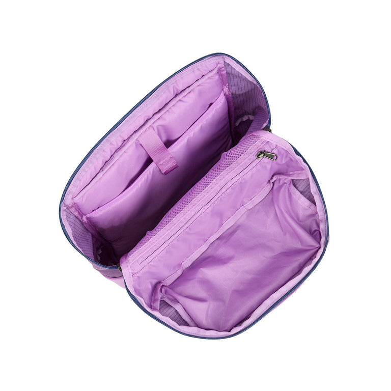 Patagonia Black Hole Pack 25L (Brisk Purple)