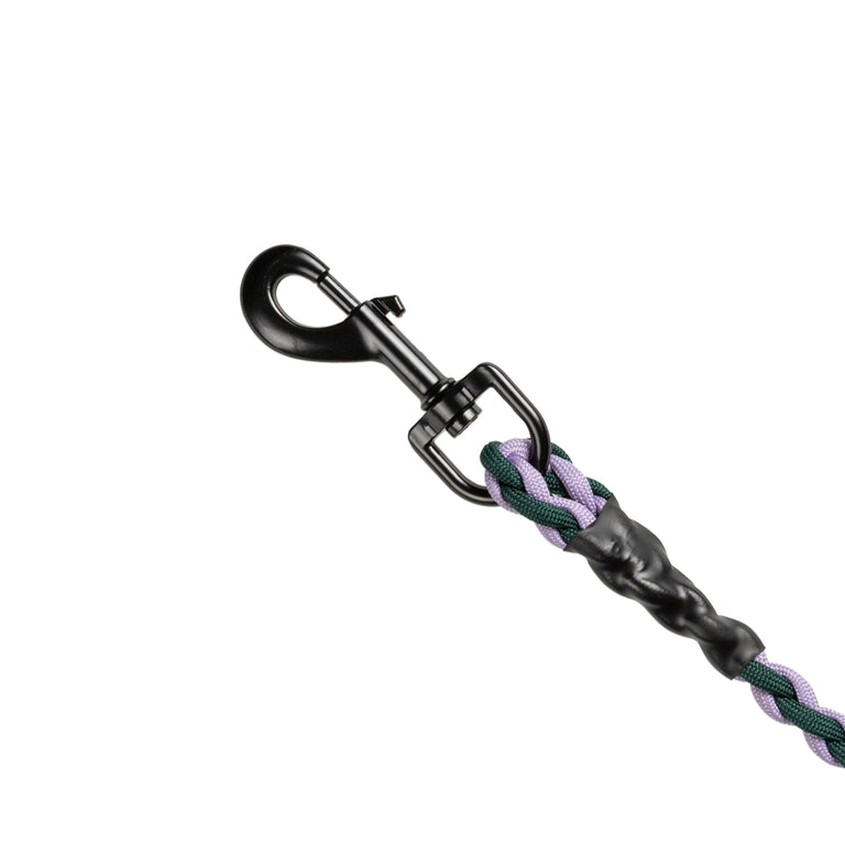 HAY Dogs Leash Braided