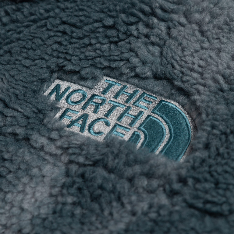 The North Face Denali X Jacket