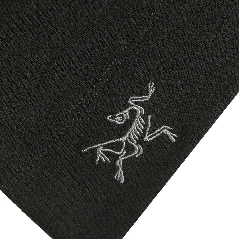 Arcteryx	Rho Lightweight Wool Toque