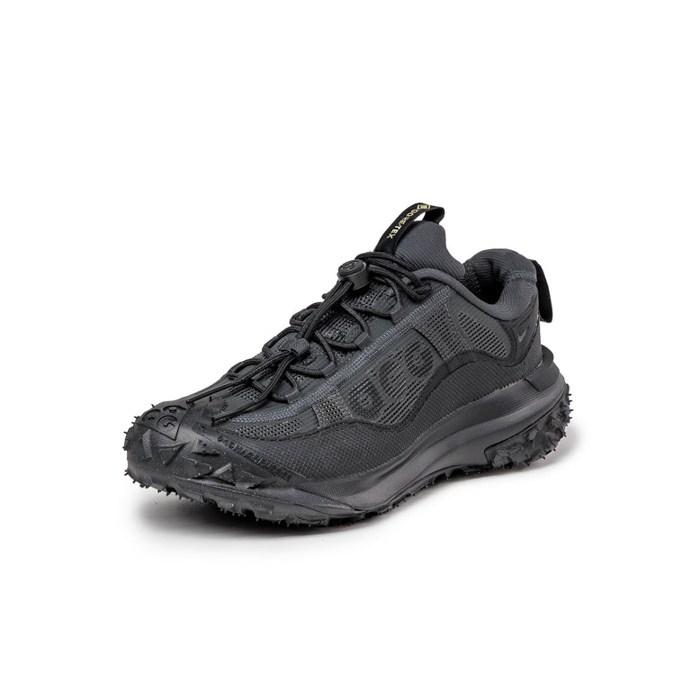 Nike ACG Mountain Fly 2 Low *GTX*