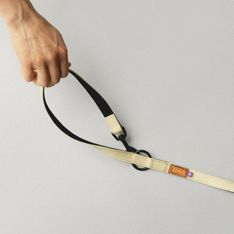 Trekk Dog Leash onfeet