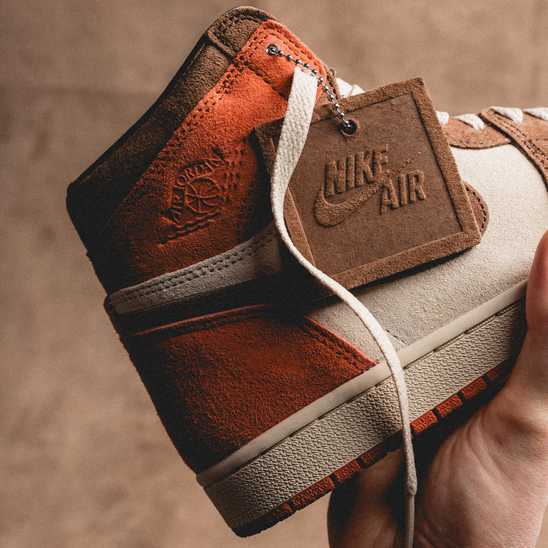 Nike Wmns Air Jordan 1 Retro High OG SP *Dusted Clay* onfeet