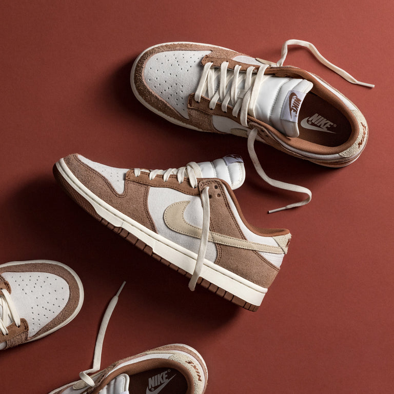 Nike Dunk Low Retro onfeet