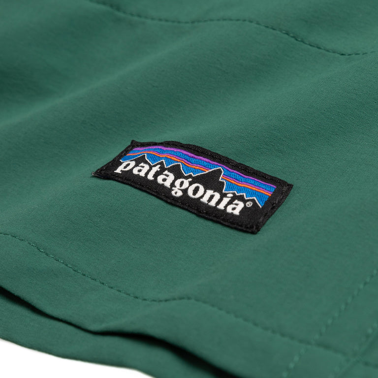 Patagonia Baggies Lights