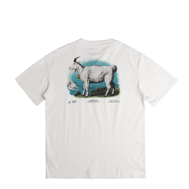 Nike ACG Dri-Fit Goat T-Shirt