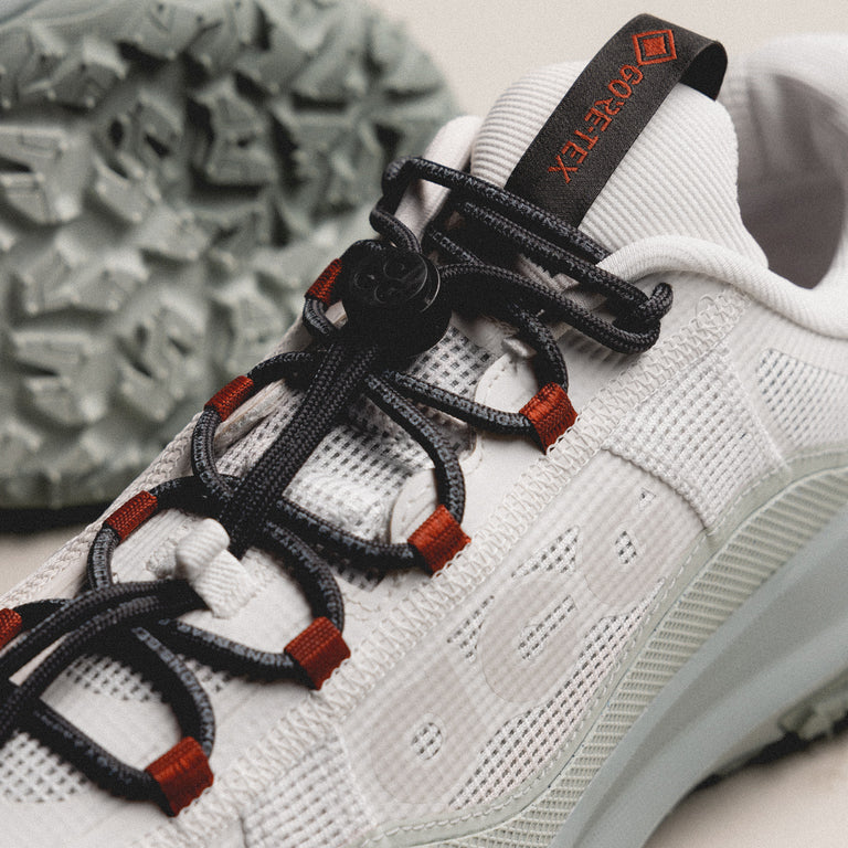 Nike ACG Mountain Fly 2 Low *GTX* onfeet