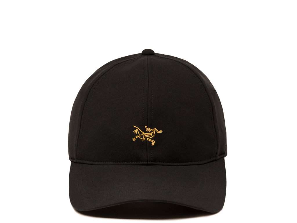 Arcteryx baseball hat hot sale