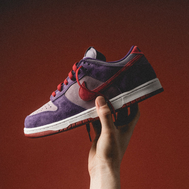Nike Dunk Low SP *Plum* onfeet