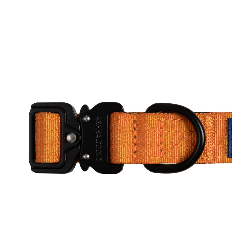 Trekk Dog Collar