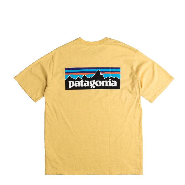 Patagonia t shirt contrast sleeves