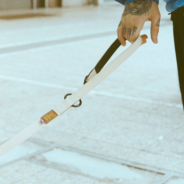 Trekk Dog Leash onfeet