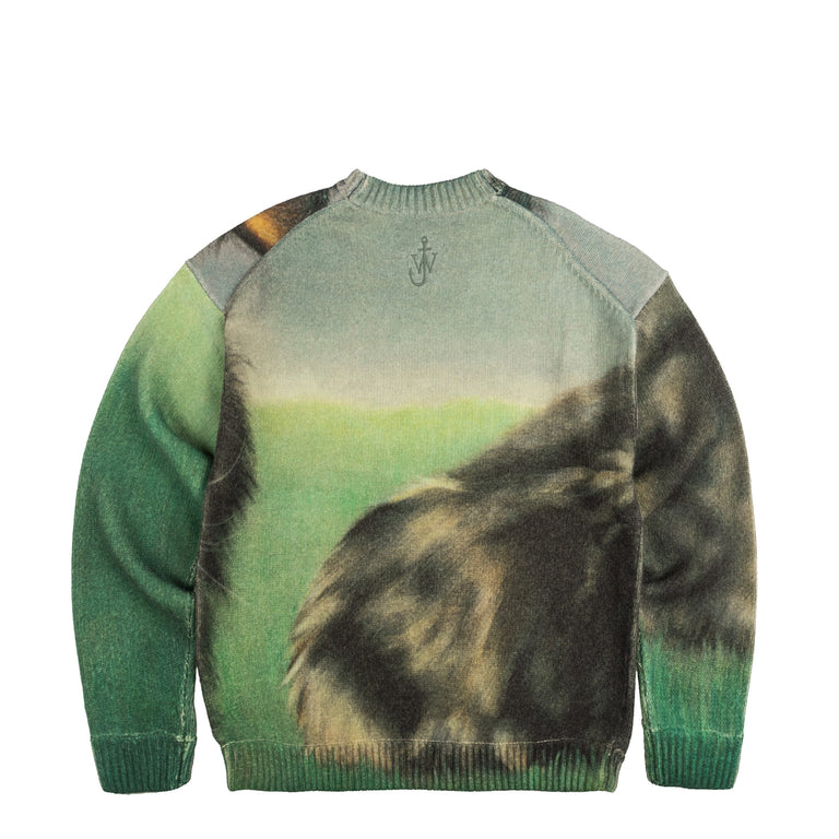 JW Anderson Cat Print Printed Jumper