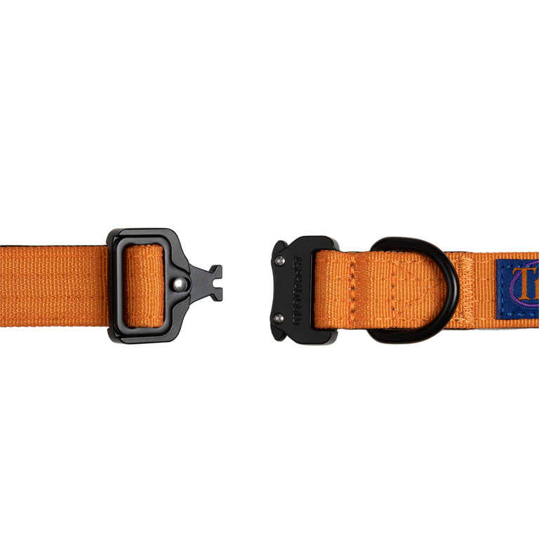 Trekk Dog Collar