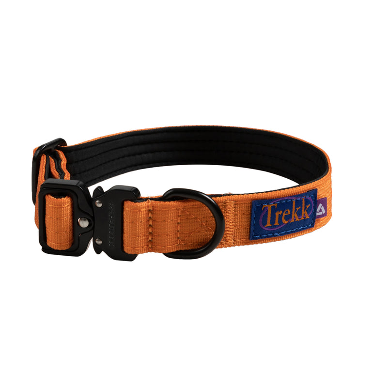 Trekk Dog Collar