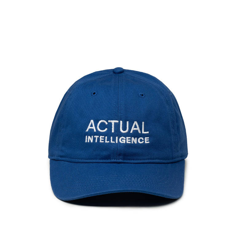 IDEA Actual Intelligence Cap