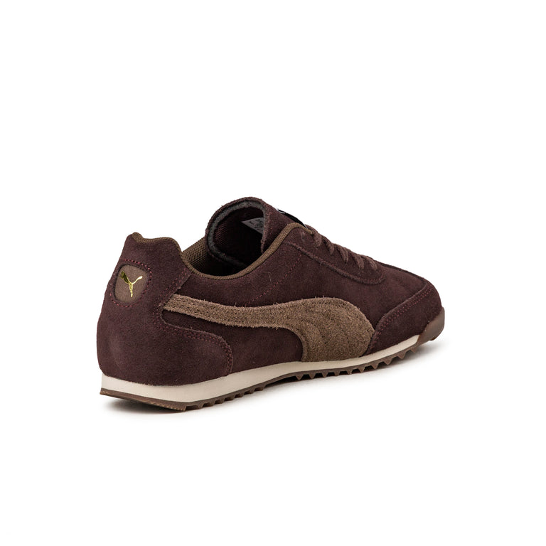 Puma Arizona Suede - 36 / Chocolate Fondue / Chocolate Gum - 3