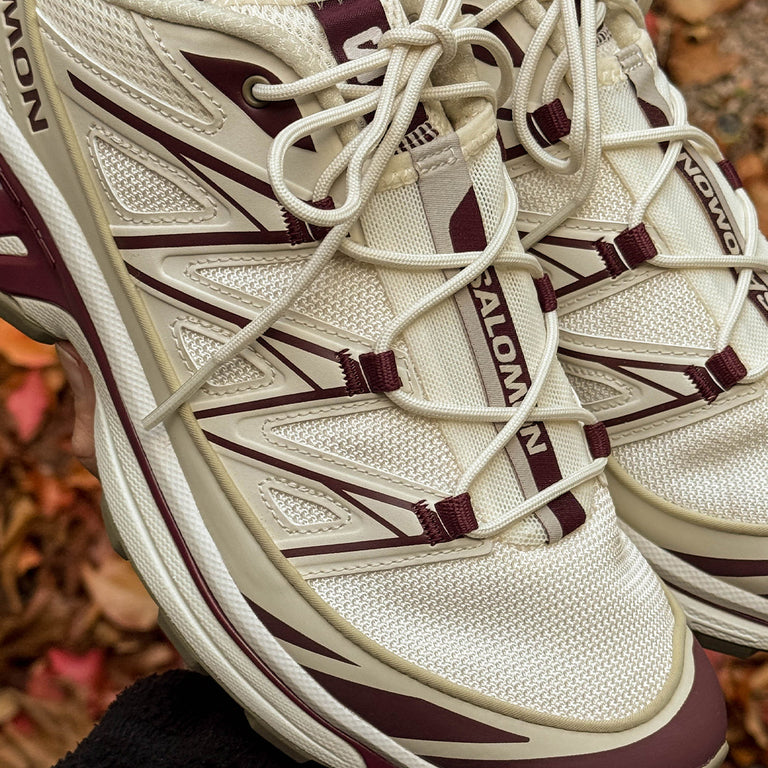 Salomon XT-6 Expanse onfeet