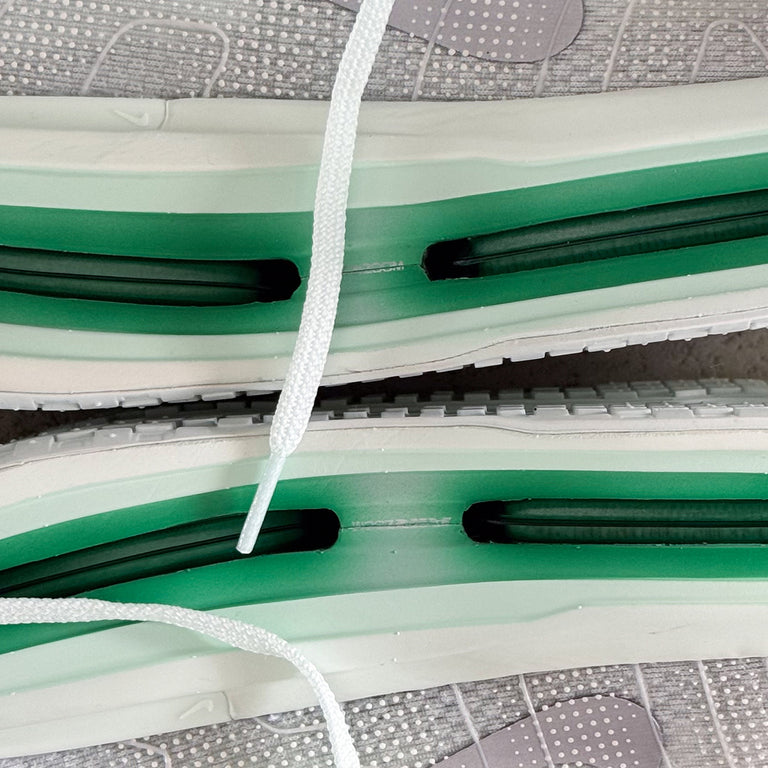 Nike Wmns Vomero Premium onfeet