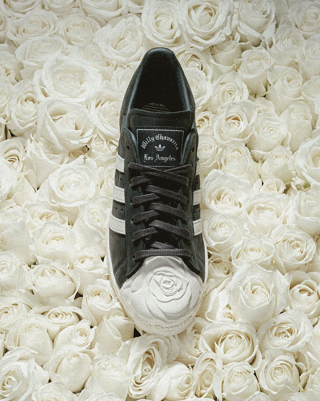 Adidas x Willy Chavarria Superstar Sneaker » Buy online now!