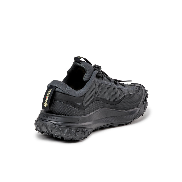 Nike ACG Mountain Fly 2 Low *GTX*