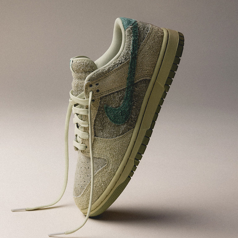 Nike Wmns Dunk Low onfeet