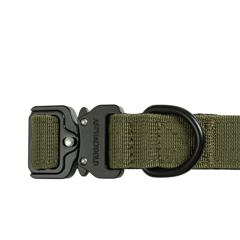 Trekk Dog Collar