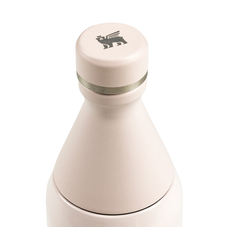 Stanley The All Day Slim Bottle 0.6L