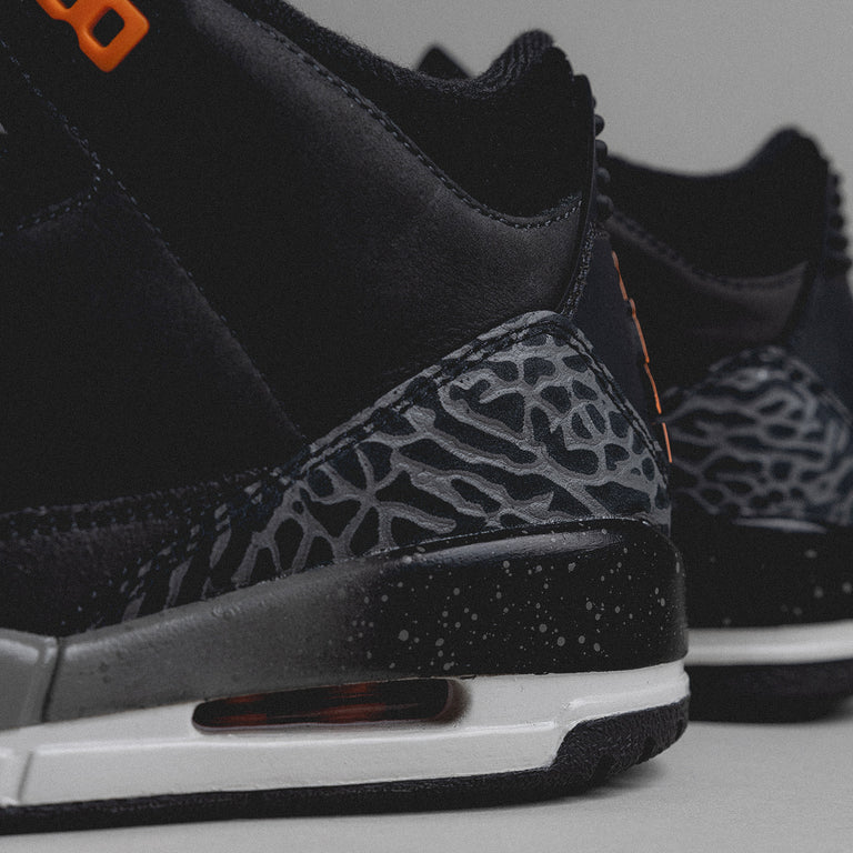 Nike Air Jordan 3 Retro *Fear Pack* onfeet
