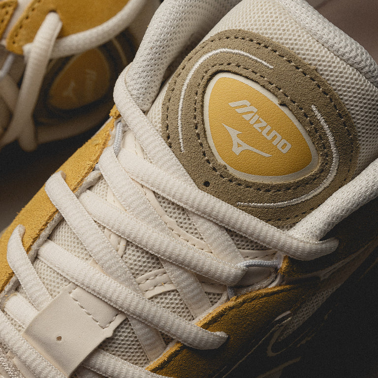 Mizuno Wave Rider Beta 1st onfeet