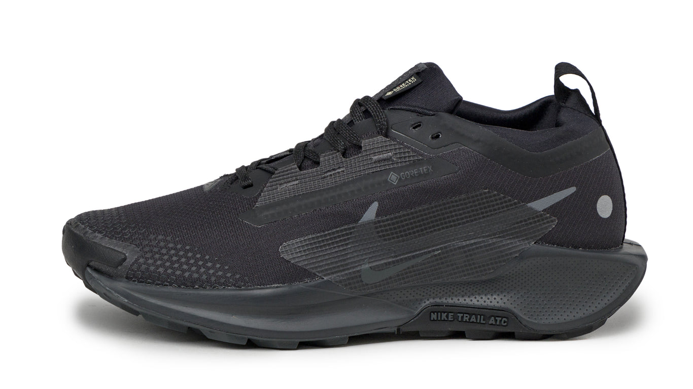 靴 Nike Pegasus Trail 5 GORE-TEX \