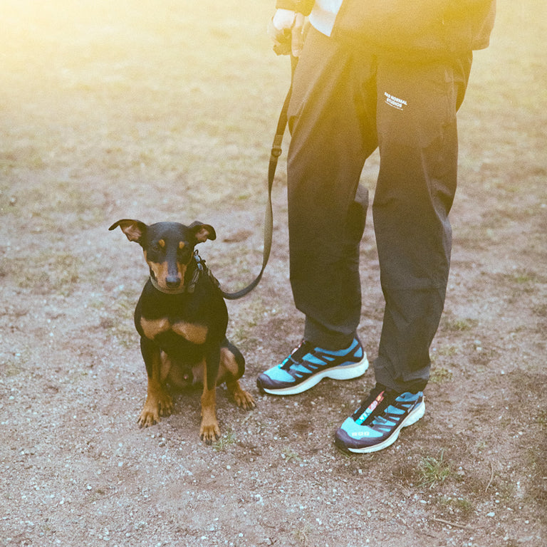 Trekk Dog Leash onfeet