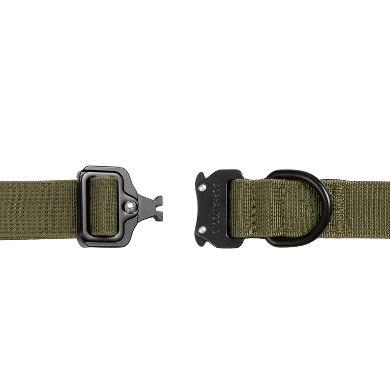 Trekk Dog Collar