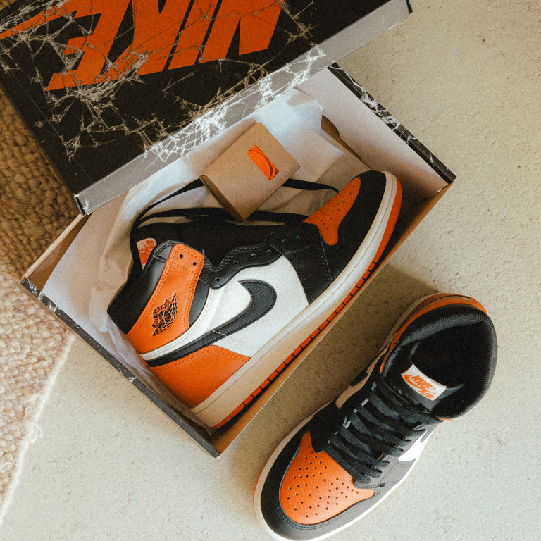 Nike Air Jordan 1 Retro High OG *Shattered Backboard* onfeet