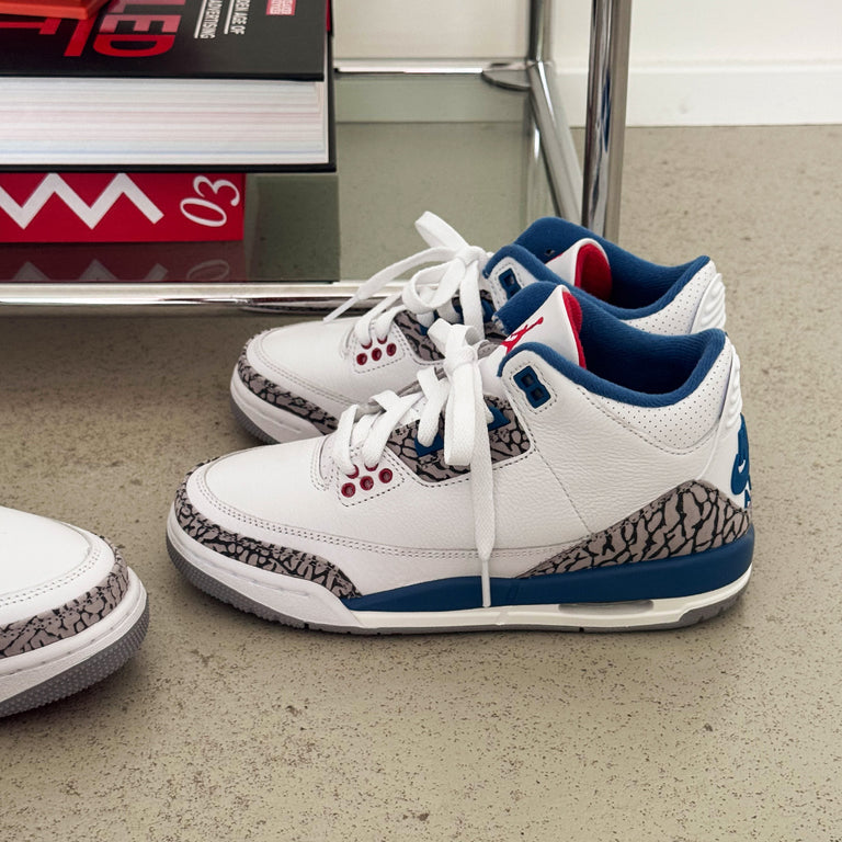 Nike Air Jordan 3 Retro *True Blue* *GS* onfeet