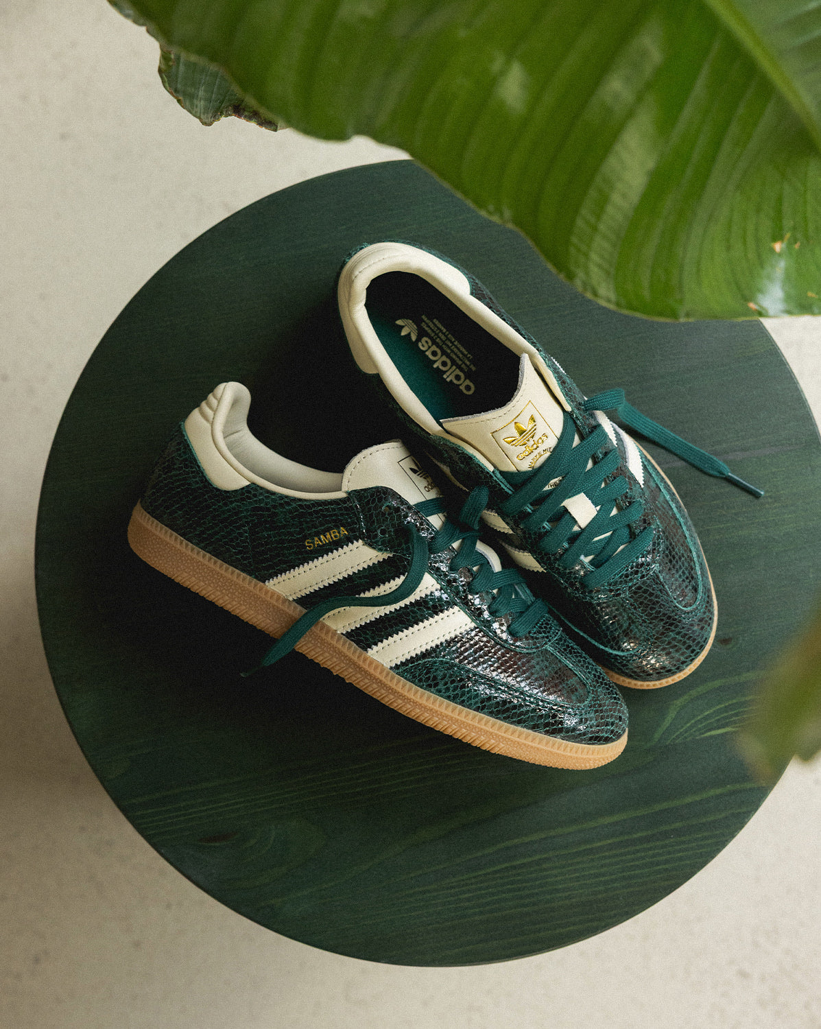 Adidas Samba OG W Sneaker » Buy online now!