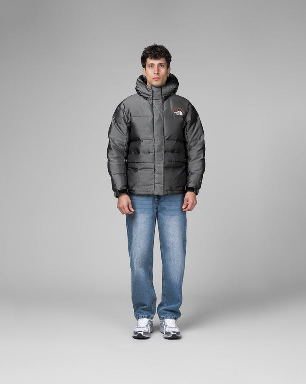 Grey north face winter jacket discount
