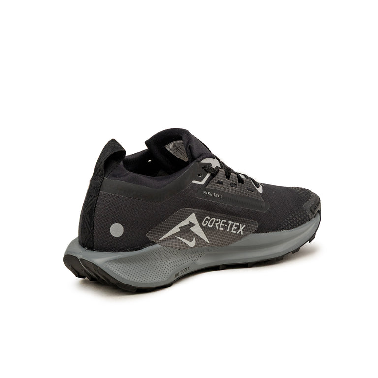 Nike Pegasus Trail 5 *Gore-Tex* SP