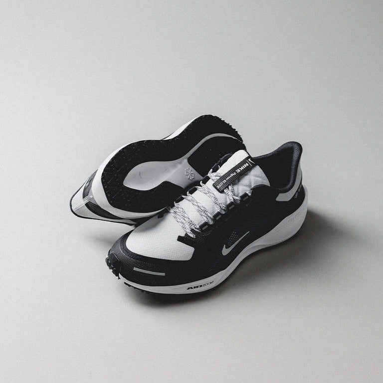Nike Air Zoom Pegasus 41 *Gore-Tex* onfeet
