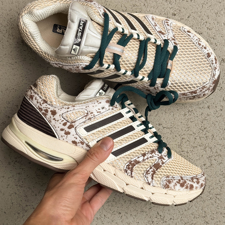 Adidas Adistar Control 5 W onfeet